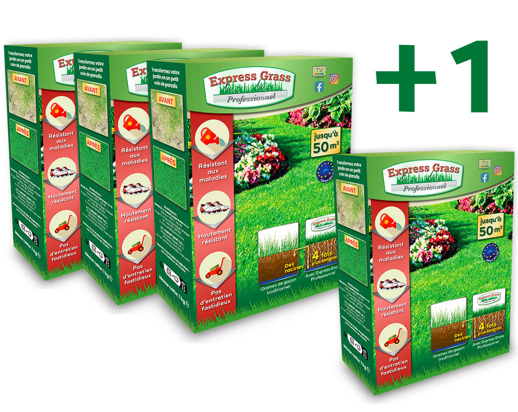 3 + 1 dozen Express Grass Professionnel