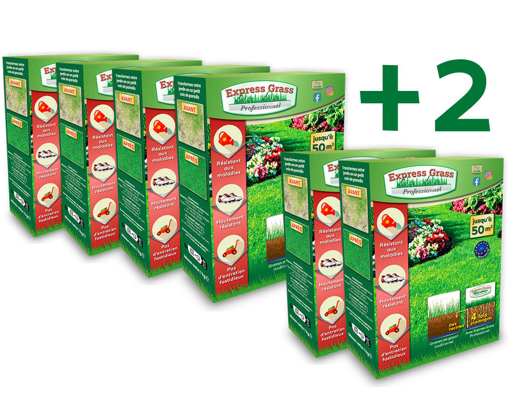 4 + 2 dozen Express Grass Professionnel